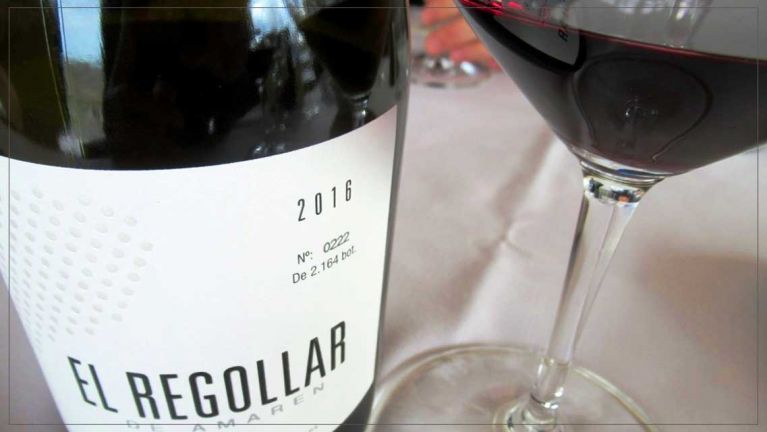a-pie-de-vina-bodegas-amaren-luis-canas